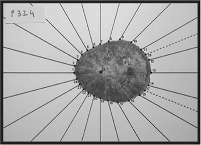 Congruent Molecular and Morphological Diversity of Macaronesian Limpets: Insights into eco-evolutionary Forces and Tools for Conservation